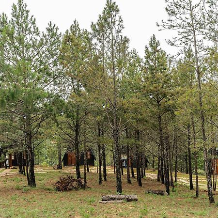 Chales Naturale - Campos Do Jordao - Cna المظهر الخارجي الصورة